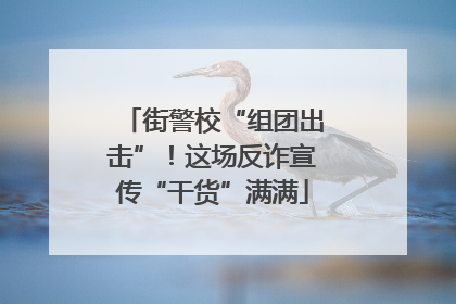 街警校“组团出击”！这场反诈宣传“干货”满满