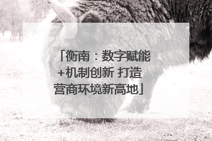 衡南：数字赋能+机制创新 打造营商环境新高地