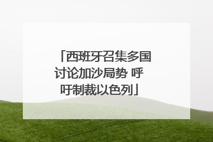 西班牙召集多国讨论加沙局势 呼吁制裁以色列