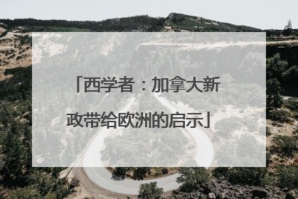 西学者：加拿大新政带给欧洲的启示