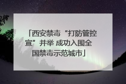 西安禁毒“打防管控宣”并举 成功入围全国禁毒示范城市