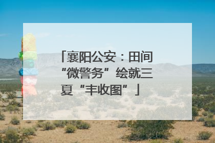 襄阳公安：田间“微警务”绘就三夏“丰收图”