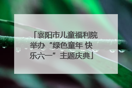 襄阳市儿童福利院举办“绿色童年 快乐六一”主题庆典