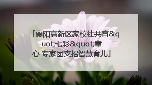襄阳高新区家校社共育"七彩"童心 专家团支招智慧育儿