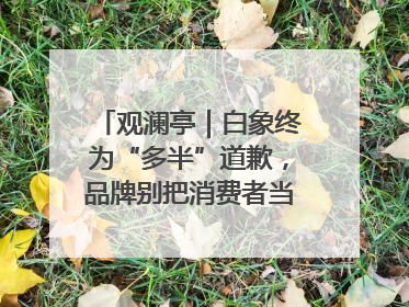 观澜亭｜白象终为“多半”道歉，品牌别把消费者当“小白”
