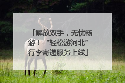 解放双手，无忧畅游！“轻松游河北”行李寄递服务上线