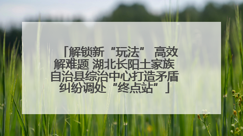 解锁新“玩法” 高效解难题 湖北长阳土家族自治县综治中心打造矛盾纠纷调处“终点站”
