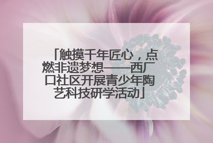触摸千年匠心，点燃非遗梦想——西厂口社区开展青少年陶艺科技研学活动