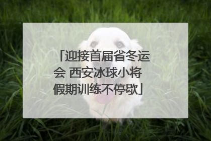 迎接首届省冬运会 西安冰球小将假期训练不停歇