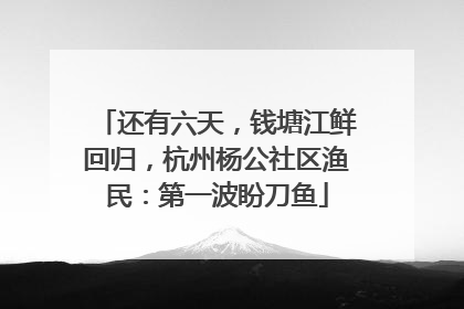 还有六天，钱塘江鲜回归，杭州杨公社区渔民：第一波盼刀鱼