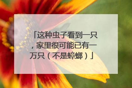 这种虫子看到一只，家里很可能已有一万只（不是蟑螂）