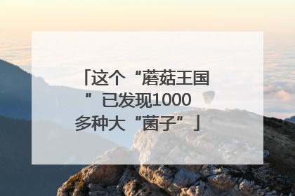 这个“蘑菇王国”已发现1000多种大“菌子”