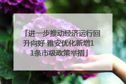 进一步推动经济运行回升向好 雅安优化新增11条市级政策举措