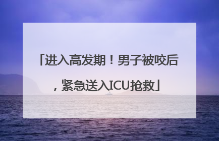 进入高发期！男子被咬后，紧急送入ICU抢救