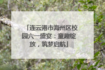 连云港市海州区校园六一盛宴：童趣绽放，筑梦启航