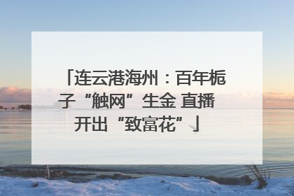 连云港海州：百年栀子“触网”生金 直播开出“致富花”