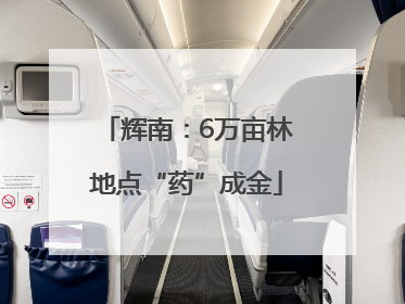 辉南：6万亩林地点“药”成金