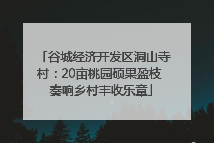 谷城经济开发区洞山寺村：20亩桃园硕果盈枝 奏响乡村丰收乐章