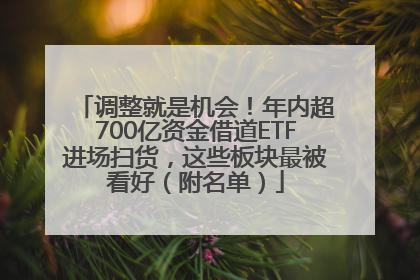 调整就是机会！年内超700亿资金借道ETF进场扫货，这些板块最被看好（附名单）