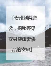 贵州刺梨逆袭，揭秘野果变身健康奢侈品的密码