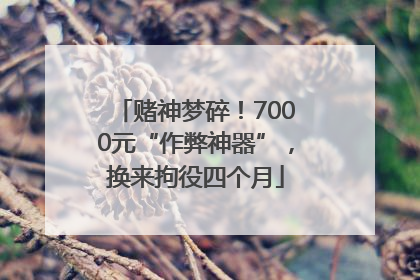 赌神梦碎！7000元“作弊神器”，换来拘役四个月