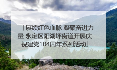 赓续红色血脉 凝聚奋进力量 永定区阳湖坪街道开展庆祝建党104周年系列活动