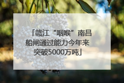 赣江“咽喉”南昌船闸通过能力今年来突破5000万吨