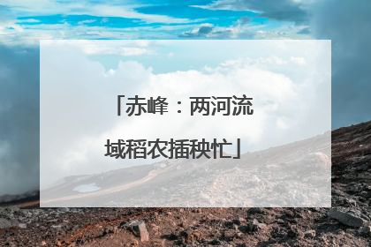 赤峰：两河流域稻农插秧忙