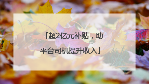 超2亿元补贴，助平台司机提升收入