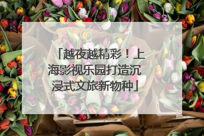 越夜越精彩！上海影视乐园打造沉浸式文旅新物种