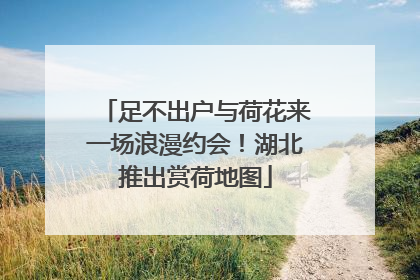 足不出户与荷花来一场浪漫约会！湖北推出赏荷地图