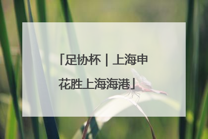 足协杯｜上海申花胜上海海港