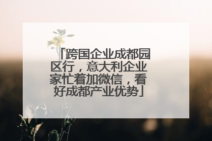 跨国企业成都园区行，意大利企业家忙着加微信，看好成都产业优势