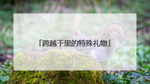跨越千里的特殊礼物