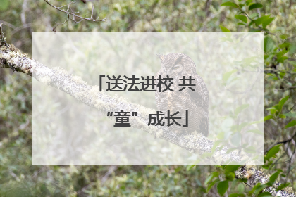 送法进校 共“童”成长
