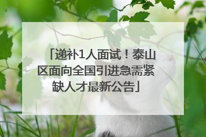 递补1人面试！泰山区面向全国引进急需紧缺人才最新公告