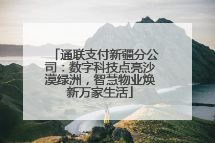 通联支付新疆分公司：数字科技点亮沙漠绿洲，智慧物业焕新万家生活