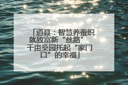 道县：智慧养蚕织就致富新“丝路” 千亩桑园托起“家门口”的幸福