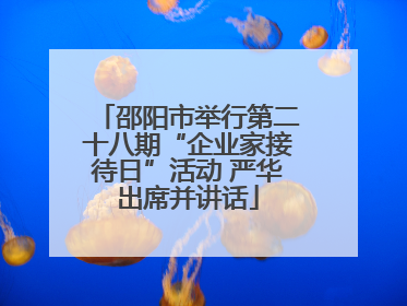 邵阳市举行第二十八期“企业家接待日”活动 严华出席并讲话