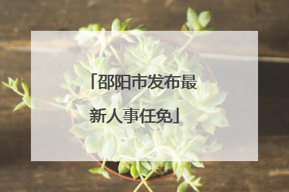 邵阳市发布最新人事任免