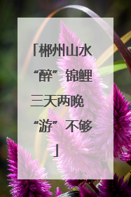 郴州山水“醉”锦鲤 三天两晚“游”不够