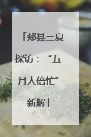郏县三夏探访：“五月人倍忙”新解