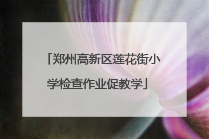 郑州高新区莲花街小学检查作业促教学