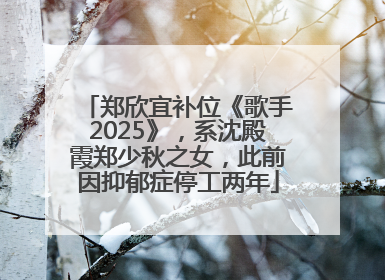 郑欣宜补位《歌手2025》,系沈殿霞郑少秋之女,此前因抑郁症停工两年