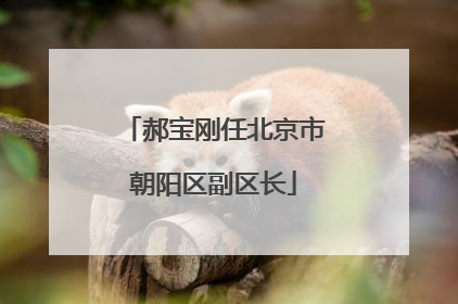 郝宝刚任北京市朝阳区副区长