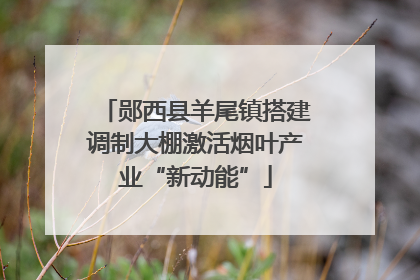 郧西县羊尾镇搭建调制大棚激活烟叶产业“新动能”