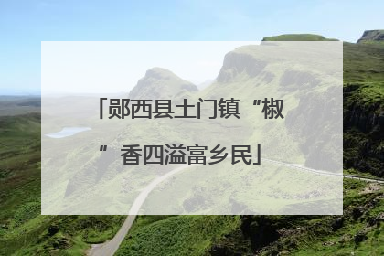 郧西县土门镇“椒”香四溢富乡民