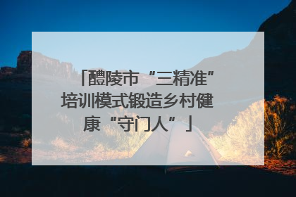 醴陵市“三精准”培训模式锻造乡村健康“守门人”