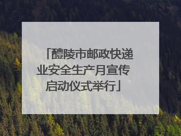醴陵市邮政快递业安全生产月宣传启动仪式举行
