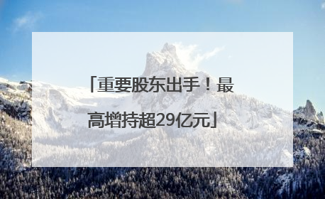 重要股东出手！最高增持超29亿元